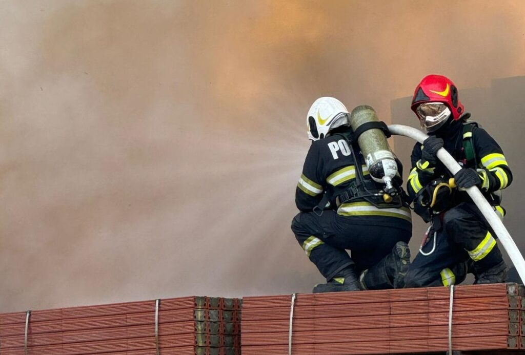 o-suta-de-canari-au-murit-intr-un-incendiu-care-a-distrus-o-casa-dintr-o-comuna-din-botosani