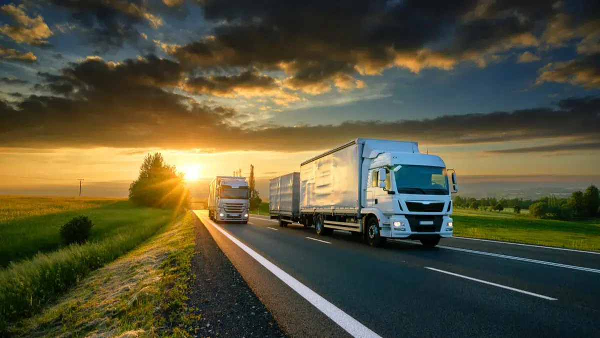 Angajări masive în transportul de mărfuri: aproape 200 de posturi pentru șoferi. Peste 1.000 de locuri de muncă disponibile în județ