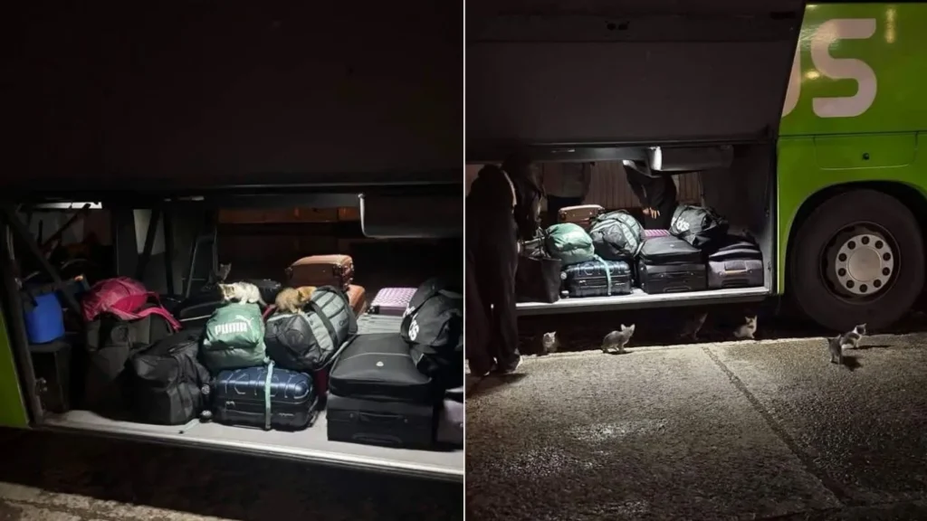 Ce a putut trimite un bărbat cu autocarul pe ruta Iași – București: „Cum îți trece prin cap că asta e în regulă?”